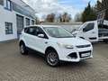 Ford Kuga Kuga 2.0 TDCi 4x4 Titanium Blanc - thumbnail 2