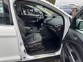 Ford Kuga Kuga 2.0 TDCi 4x4 Titanium Weiß - thumbnail 14