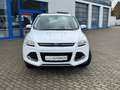 Ford Kuga Kuga 2.0 TDCi 4x4 Titanium Blanc - thumbnail 1