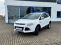 Ford Kuga Kuga 2.0 TDCi 4x4 Titanium Weiß - thumbnail 8