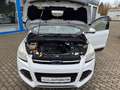 Ford Kuga Kuga 2.0 TDCi 4x4 Titanium Weiß - thumbnail 19