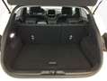 Ford Puma 1.0 EcoBoost Aut. TITANIUM X Wit - thumbnail 6