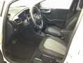 Ford Puma 1.0 EcoBoost Aut. TITANIUM X Blanc - thumbnail 6