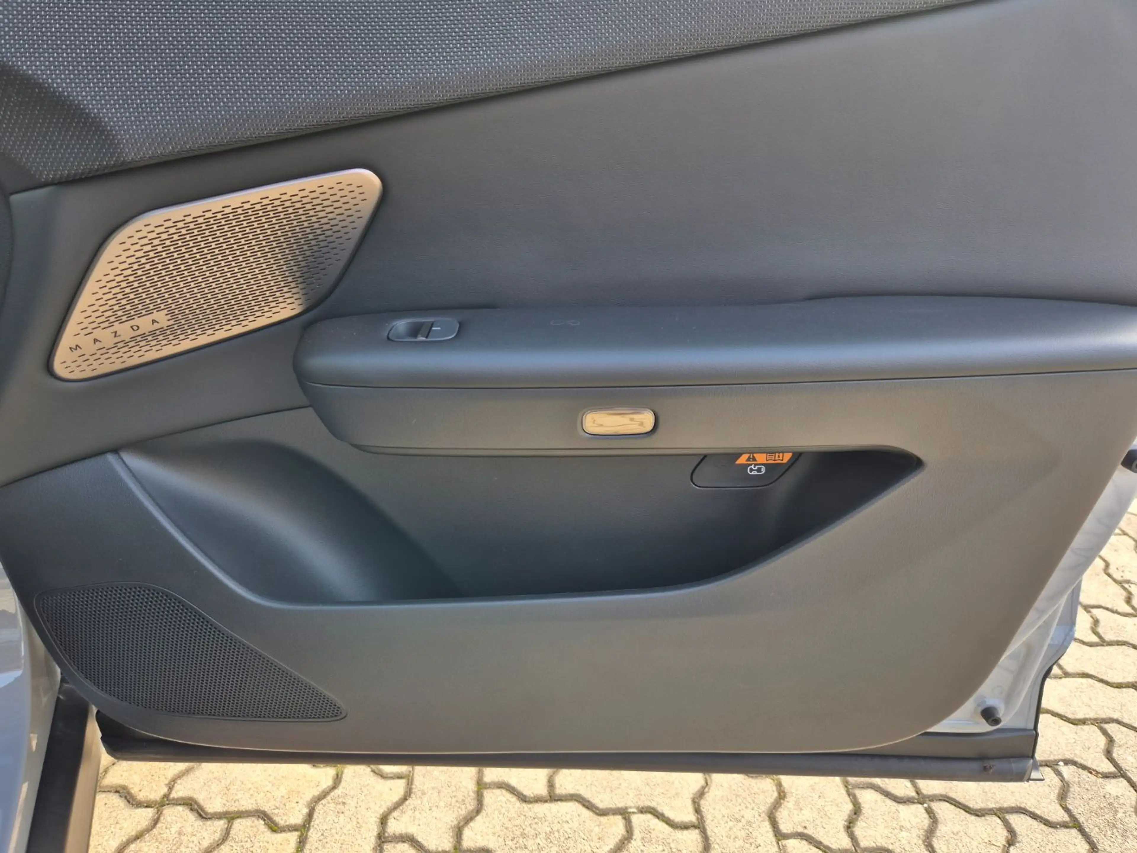 Mazda CX-6e EV 258PS AT RWD Takumi 21 ZollPABS AUT — photo 8