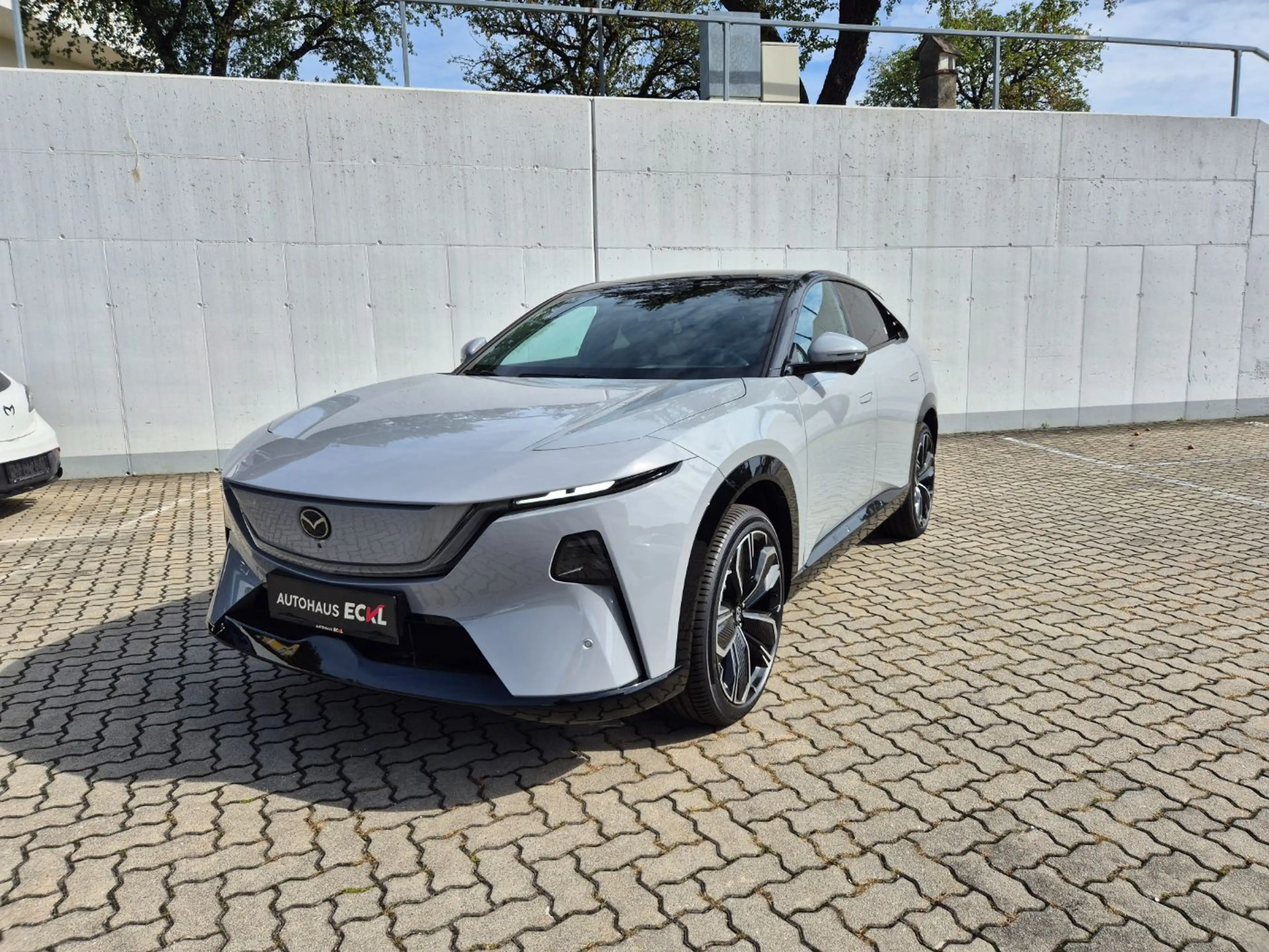 Mazda CX-6e EV 258PS AT RWD Takumi 21 ZollPABS AUT — photo 2