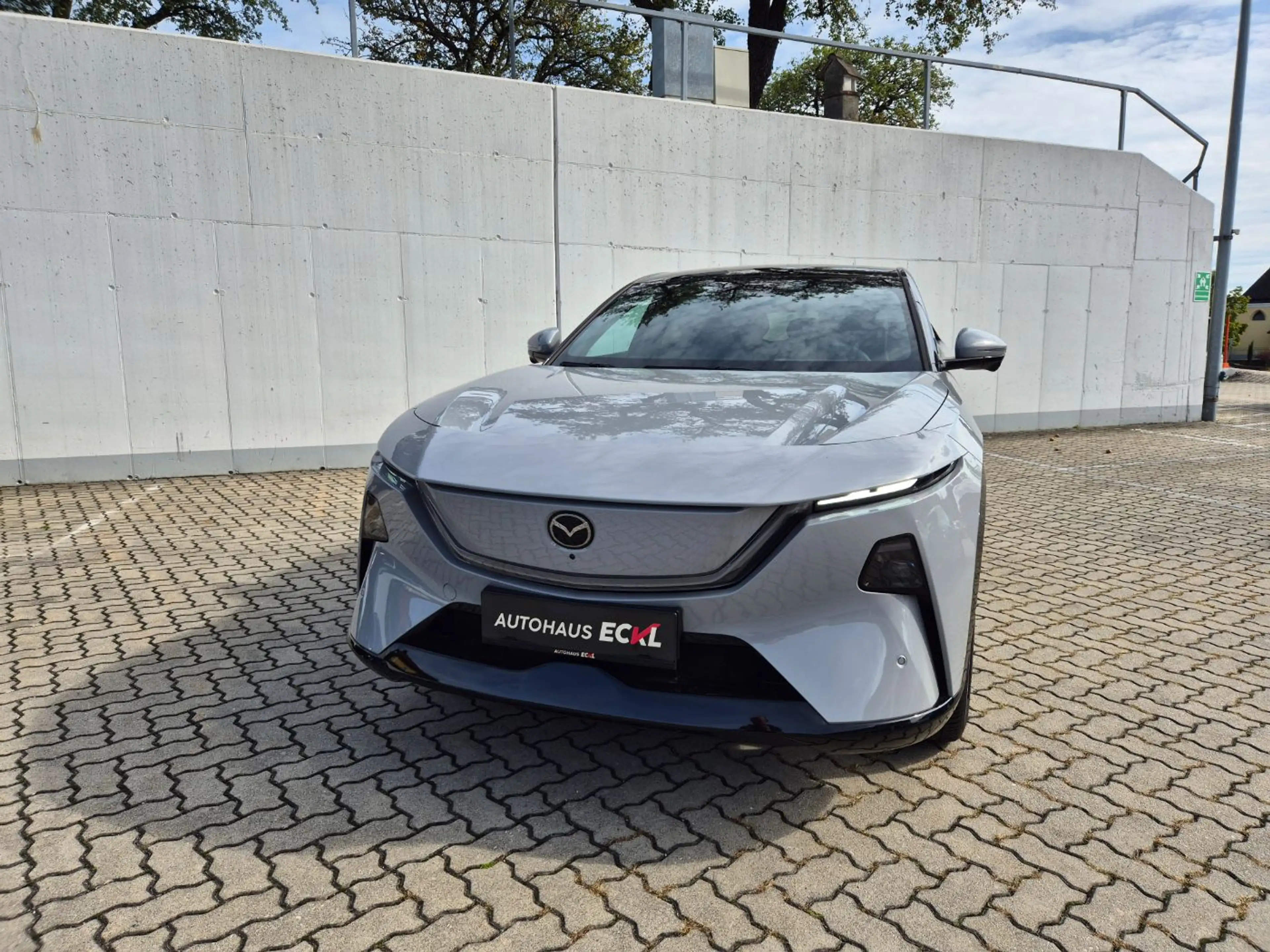 Mazda CX-6e EV 258PS AT RWD Takumi 21 ZollPABS AUT — photo 3