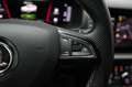 Skoda Kodiaq 2.0 TDI 4x4 DSG Sportline Navi/ACC/Kamera Negru - thumbnail 13