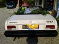 Triumph TR7 - thumbnail 7
