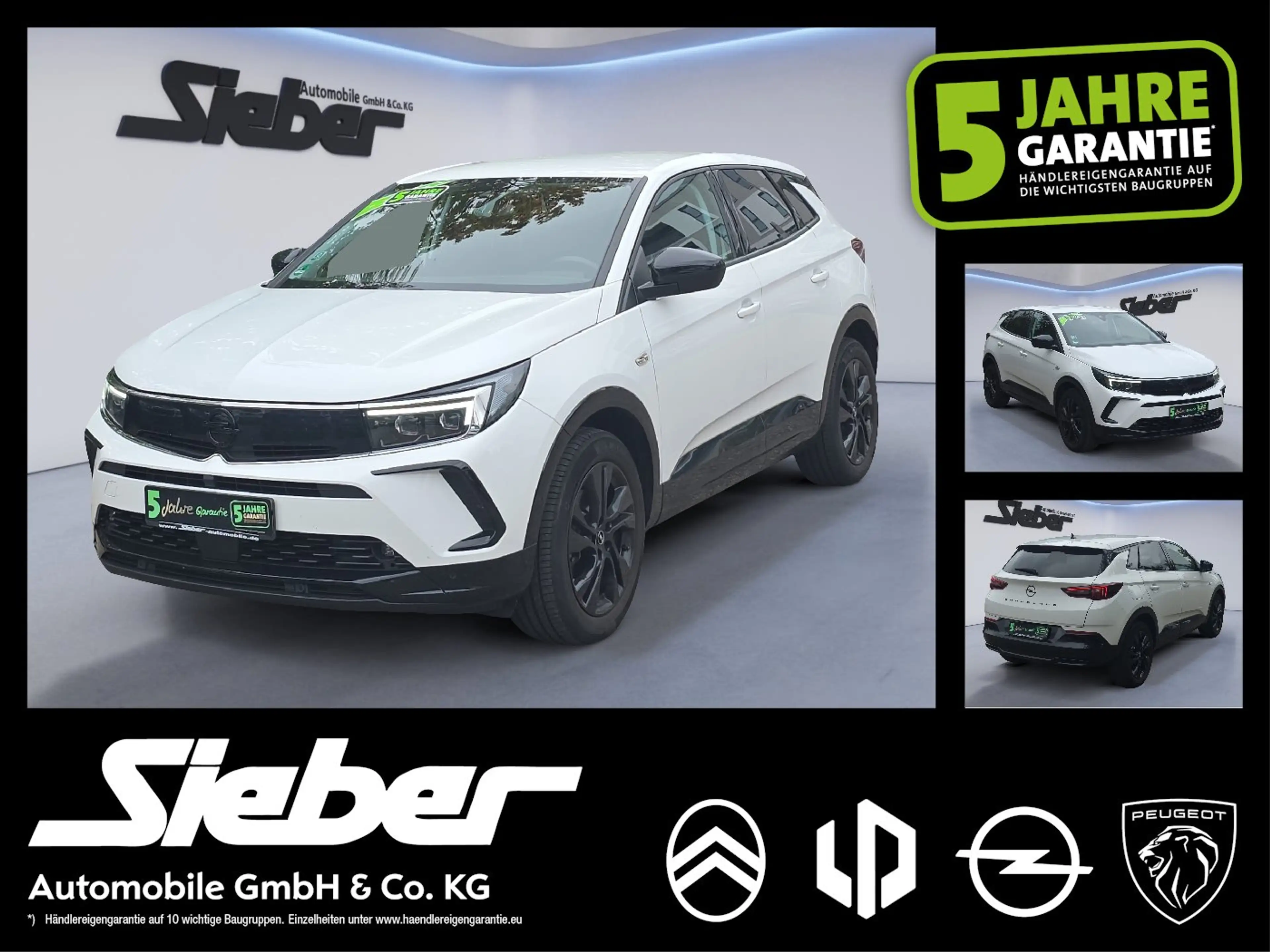Opel Grandland 1.2 Turbo GS Line *Rückfahrkamera*