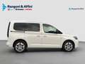 Volkswagen Caddy Caddy 1.5 PHEV DSG Start Bianco - thumbnail 2
