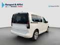 Volkswagen Caddy Caddy 1.5 PHEV DSG Start Bianco - thumbnail 3