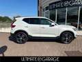 Volvo XC40 1.5 t5 Plug-In Hybrid Inscription *ADAS *Full LED Bianco - thumbnail 6