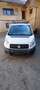 Fiat Scudo Scudo Kombi Standard L2H1 2,0 16V Standard Weiß - thumbnail 1