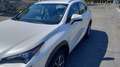 Lexus NX 300h executive 4wd - thumbnail 6