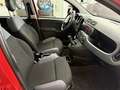 Fiat New Panda 1.2 Easy, 1.Hand, Klima, PDC, HU neu ! Roşu - thumbnail 11