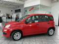 Fiat New Panda 1.2 Easy, 1.Hand, Klima, PDC, HU neu ! Roşu - thumbnail 2