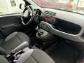 Fiat New Panda 1.2 Easy, 1.Hand, Klima, PDC, HU neu ! Roşu - thumbnail 12