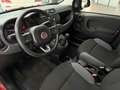 Fiat New Panda 1.2 Easy, 1.Hand, Klima, PDC, HU neu ! Roşu - thumbnail 6