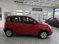 Fiat New Panda 1.2 Easy, 1.Hand, Klima, PDC, HU neu ! Roşu - thumbnail 5