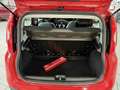 Fiat New Panda 1.2 Easy, 1.Hand, Klima, PDC, HU neu ! Roşu - thumbnail 4