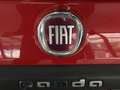 Fiat New Panda 1.2 Easy, 1.Hand, Klima, PDC, HU neu ! Roşu - thumbnail 15