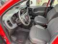 Fiat Panda 1.0 Hybrid CityCross (RED) Sondermodell Rood - thumbnail 6