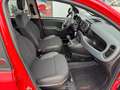 Fiat Panda 1.0 Hybrid CityCross (RED) Sondermodell Rood - thumbnail 9