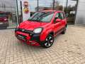 Fiat Panda 1.0 Hybrid CityCross (RED) Sondermodell Rood - thumbnail 2