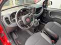Fiat Panda 1.0 Hybrid CityCross (RED) Sondermodell Rood - thumbnail 5