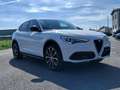 Alfa Romeo Stelvio Stelvio 2.0 Q4 Veloce 280 Cv automatica "PROMMO" Weiß - thumbnail 19