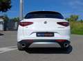 Alfa Romeo Stelvio Stelvio 2.0 Q4 Veloce 280 Cv automatica Bianco - thumbnail 5
