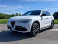 Alfa Romeo Stelvio Stelvio 2.0 Q4 Veloce 280 Cv automatica Bianco - thumbnail 1