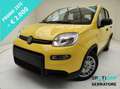 Fiat Panda III 1.0 firefly hybrid s&s 70cv Giallo - thumbnail 1