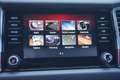 Skoda Kodiaq 2.0 TDI Sportline 4x4 LED Navi Memory ACC Gris - thumbnail 27