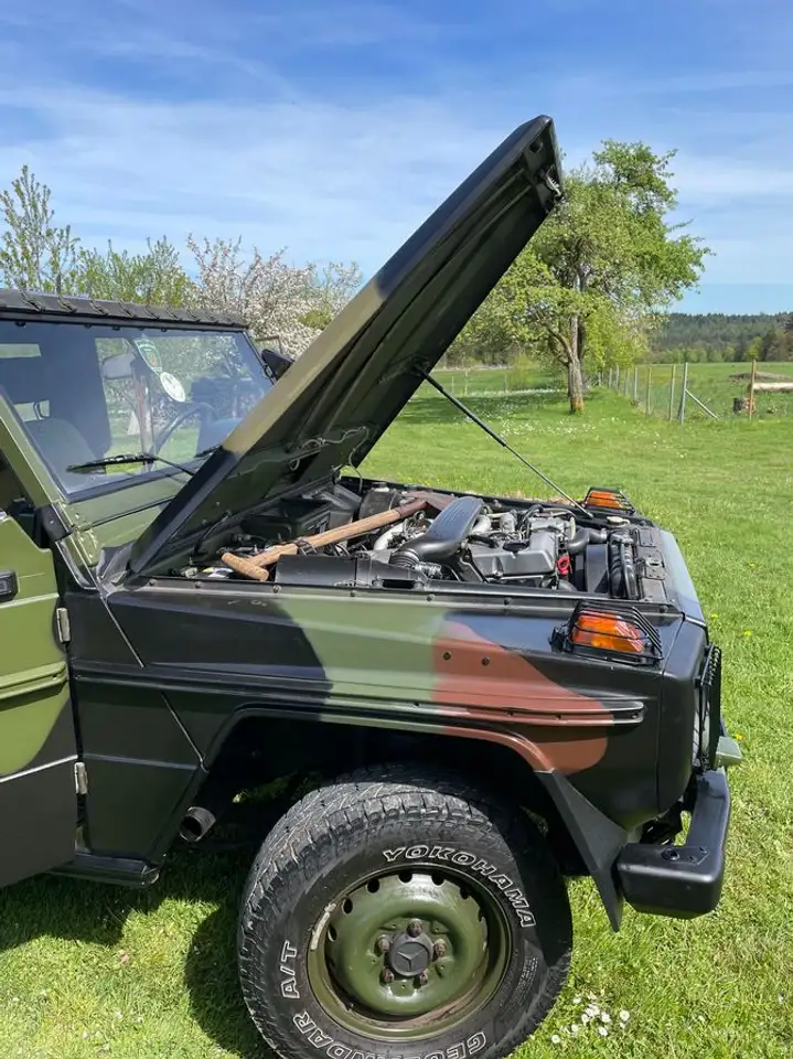 Mercedes-Benz G 250 461 GD 250 H Kennzeichen, foto 4
