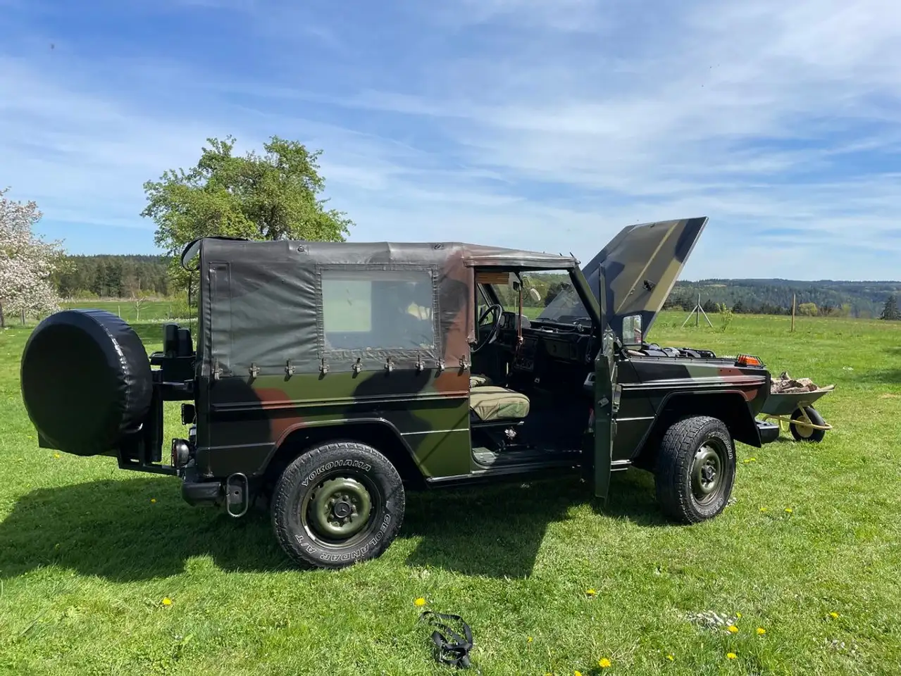 Mercedes-Benz G 250 461 GD 250 H Kennzeichen, foto 5