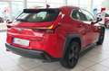 Lexus UX 250h Navi LED Kamera Lenkradhzg. Rot - thumbnail 5