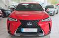 Lexus UX 250h Navi LED Kamera Lenkradhzg. Rot - thumbnail 2