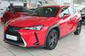 Lexus UX 250h Navi LED Kamera Lenkradhzg. Rot - thumbnail 1
