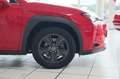 Lexus UX 250h Navi LED Kamera Lenkradhzg. Rot - thumbnail 11