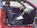 Volkswagen T-Roc Cabrio 1.0 TSI STYLE KAMERA LED LM17 SITZH Rosso - thumbnail 4