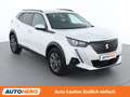 Peugeot 2008 1.5 Blue-HDi Allure *NAVI*TEMPO*CAM*SPUR* Weiß - thumbnail 8