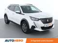 Peugeot 2008 1.5 Blue-HDi Allure *NAVI*TEMPO*CAM*SPUR* Blanc - thumbnail 8