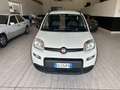 Fiat Panda City Life 1.0  HYBRID 70CV KM. CERT. FULL OPTIONAL Bianco - thumbnail 3