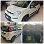 Fiat Panda City Life 1.0  HYBRID 70CV KM. CERT. FULL OPTIONAL Bianco - thumbnail 1