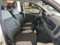 Fiat Panda City Life 1.0  HYBRID 70CV KM. CERT. FULL OPTIONAL Bianco - thumbnail 13