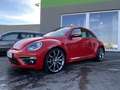 Volkswagen Beetle 2,0 TDI Sport DSG R-Line - thumbnail 8