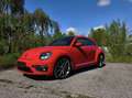 Volkswagen Beetle 2,0 TDI Sport DSG R-Line - thumbnail 3