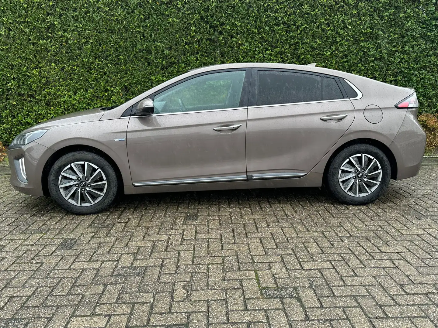 Hyundai IONIQ Comfort EV 38 kWh | SOH: 95,1% | 311km WLTP | Clim Bruin - 2