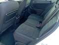 Volkswagen Tiguan Highline TDI SCR 4MOTION DSG Blanc - thumbnail 15